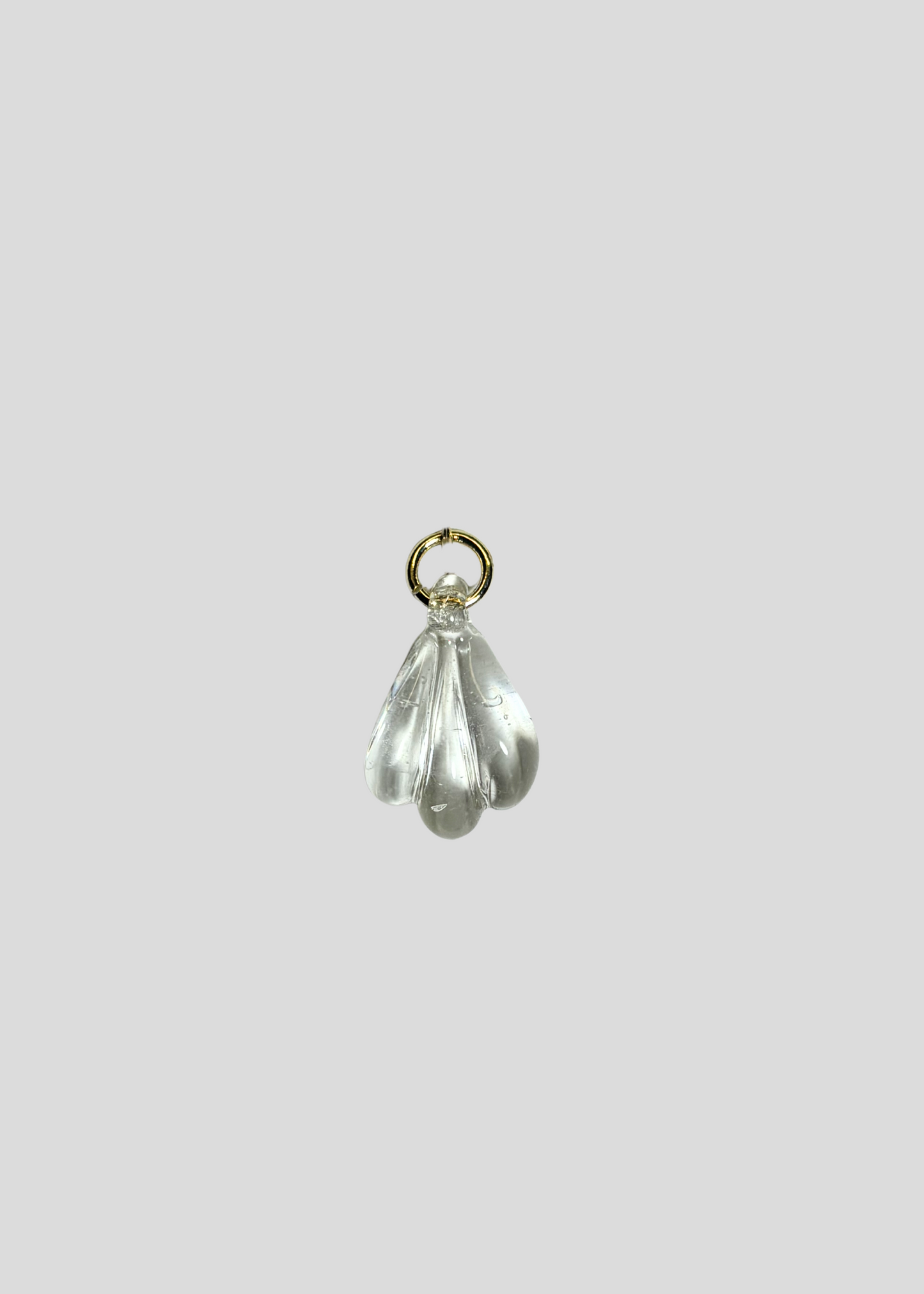 Sample #25 Clear Shell Charm