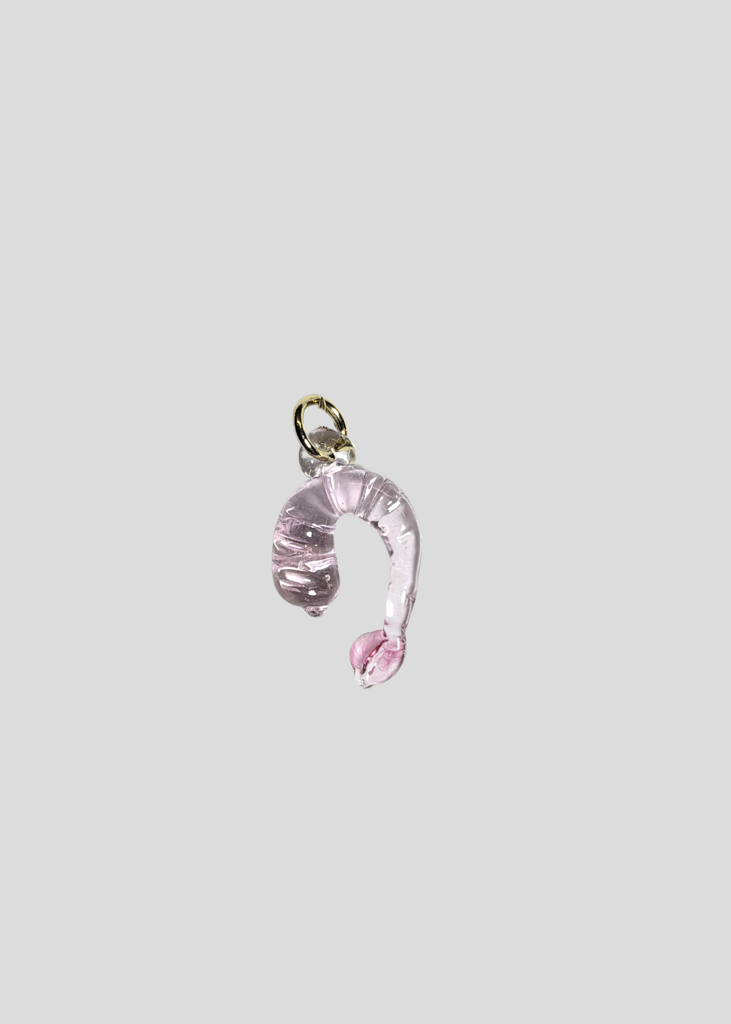 Sample #29 Prawn Charm