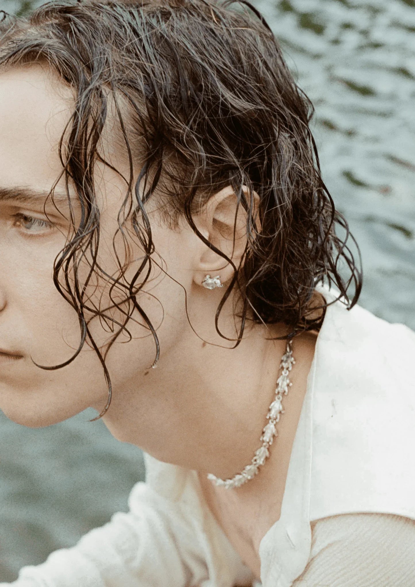 Anura Stud - Jean Riley